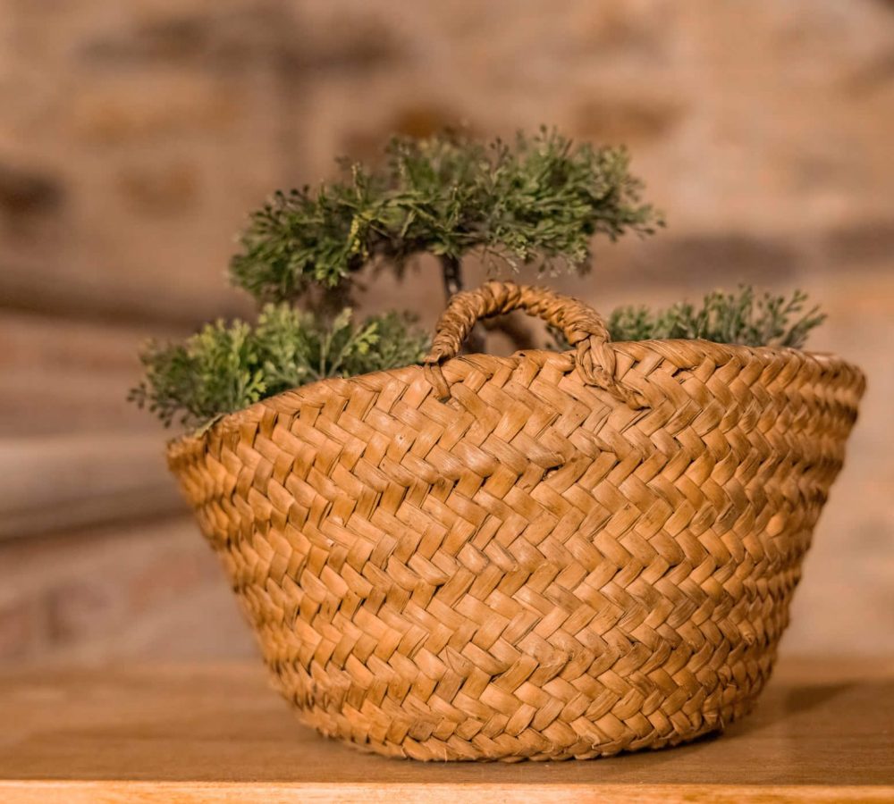 Cesta de mimbre con plantas decorativas.