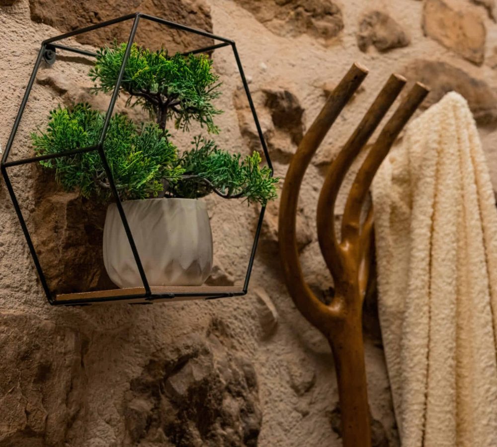 Planta decorativa en estante sobre pared de piedra